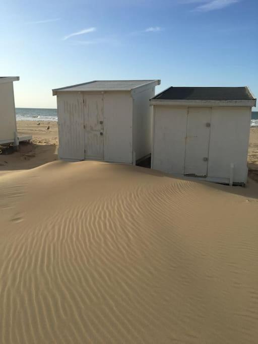 סאנגט Vue Sur Dunes ! מראה חיצוני תמונה