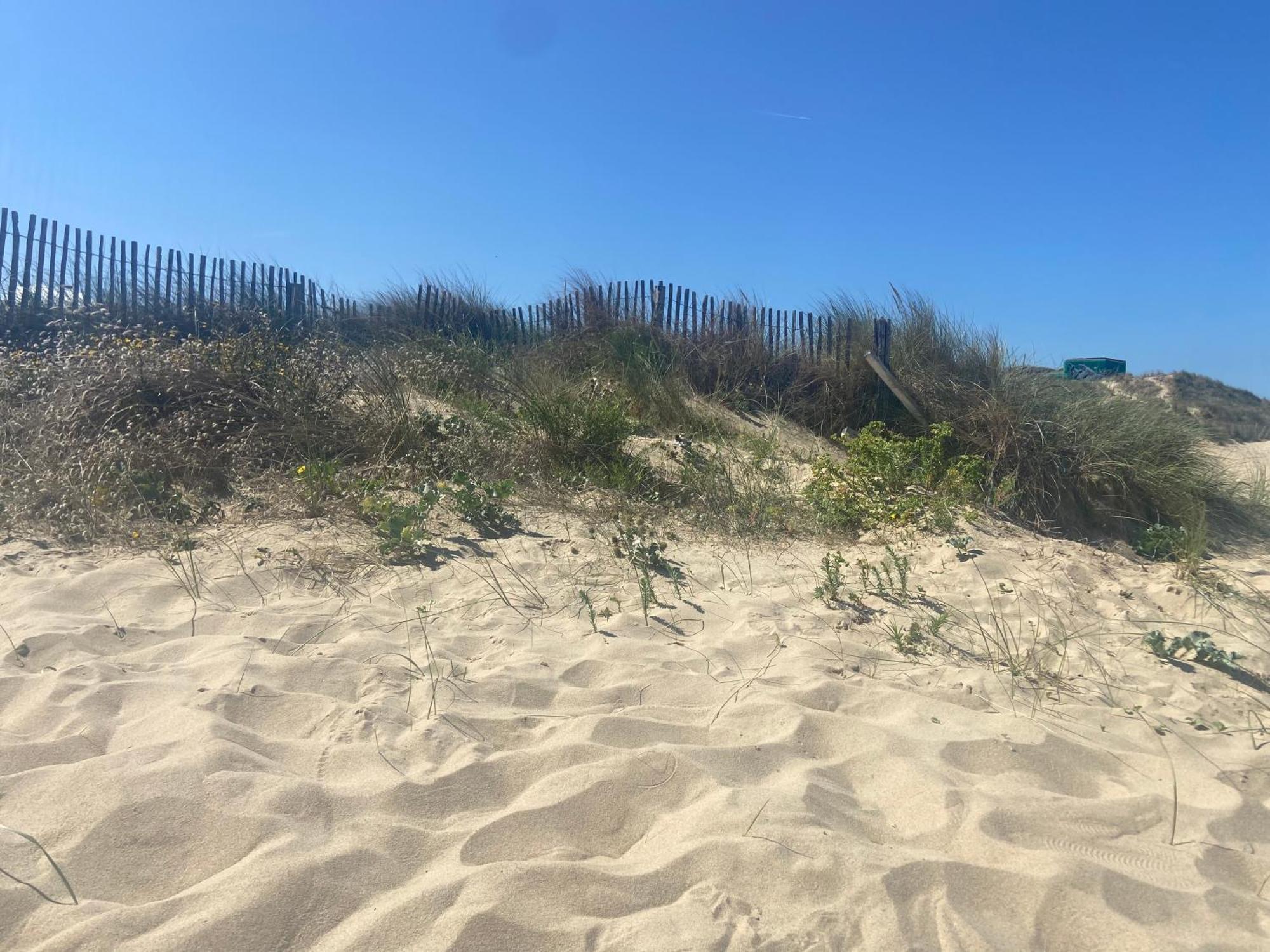 סאנגט Vue Sur Dunes ! מראה חיצוני תמונה